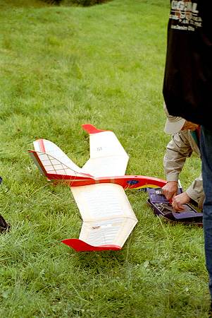 Nurfl�gel-Meeting 2001 in Biel