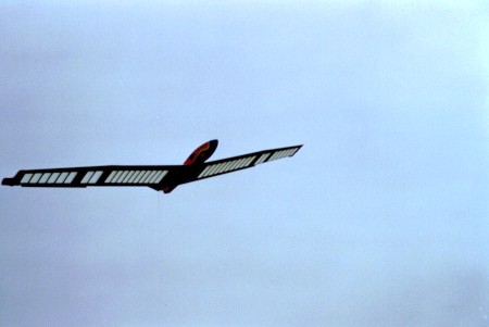 Nurfl�gel-Meeting 2001 in Biel