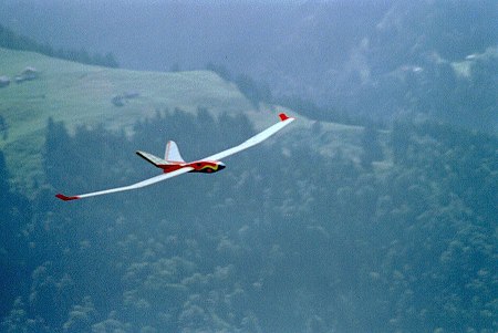 Nurfl�gel-Meeting 2001 in Biel