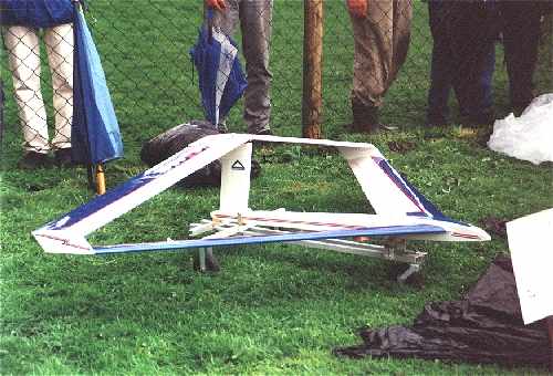 Nurfl�gel auf der Inter-EX 2000 in Ostrach