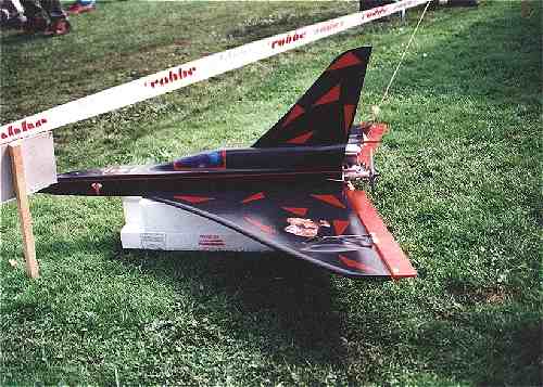 Nurfl�gel auf der Inter-EX 2000 in Ostrach