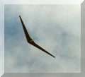 Horten IV airborne