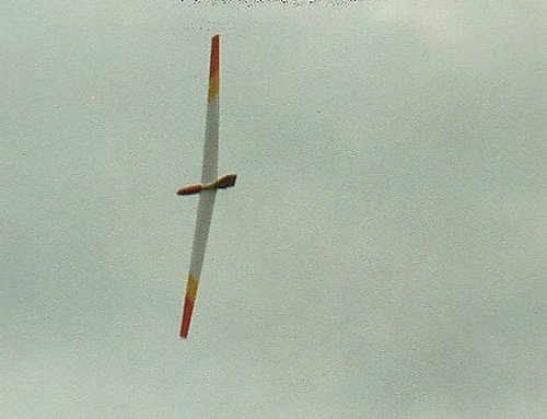 PELIKAN von Robert Schweissgut