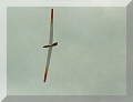 PELIKAN von Robert Schweissgut