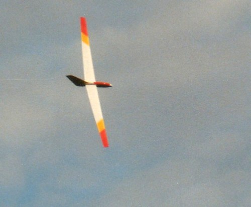 PELIKAN von Robert Schweissgut